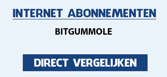 internet vergelijken bitgummole