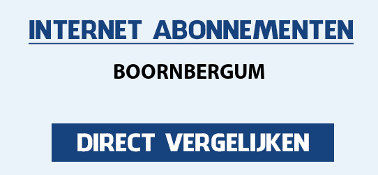 internet vergelijken boornbergum
