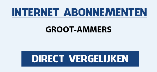 internet vergelijken groot-ammers