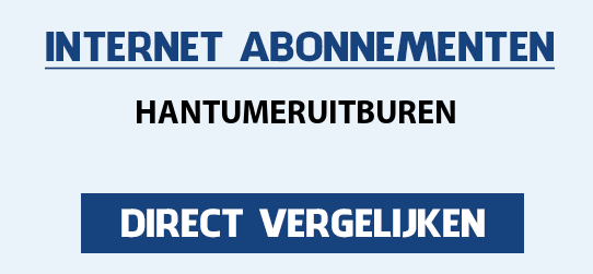 internet vergelijken hantumeruitburen